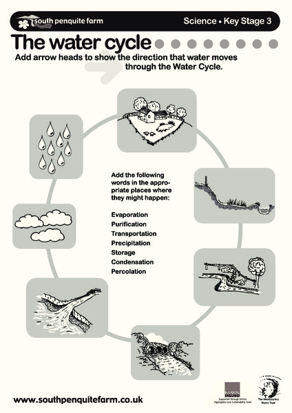 The Water Cycle Worksheet