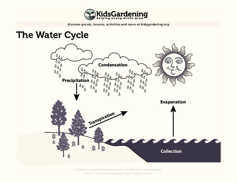 The Water Cycle Printables