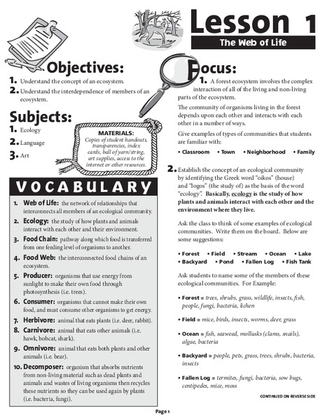 The Web of Life Lesson Plan