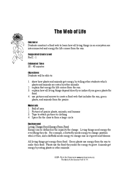 The Web of Life Lesson Plan