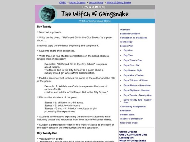 The Witch of Goingsnake Lesson Plan