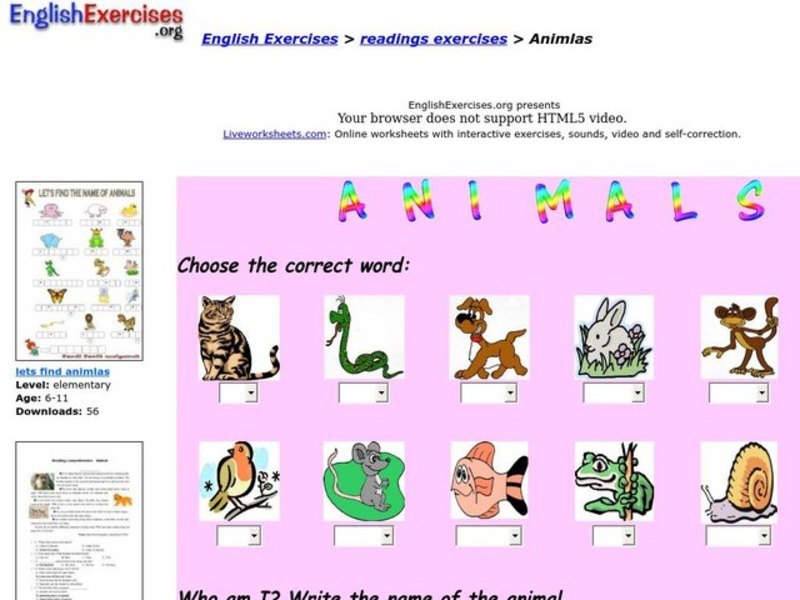 Animals Interactive