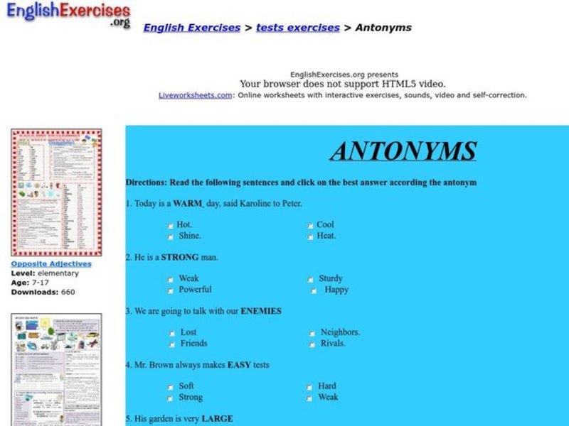 Antonyms Interactive
