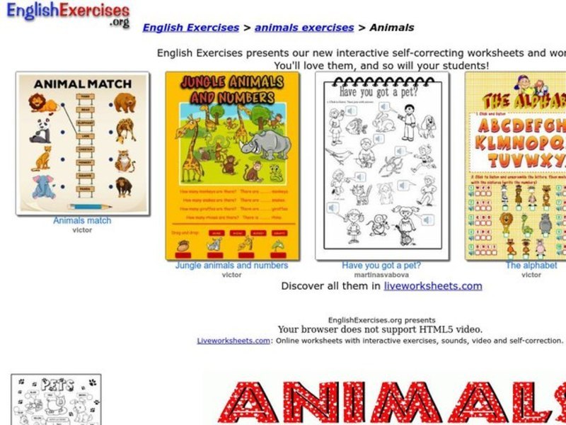 Animals Interactive