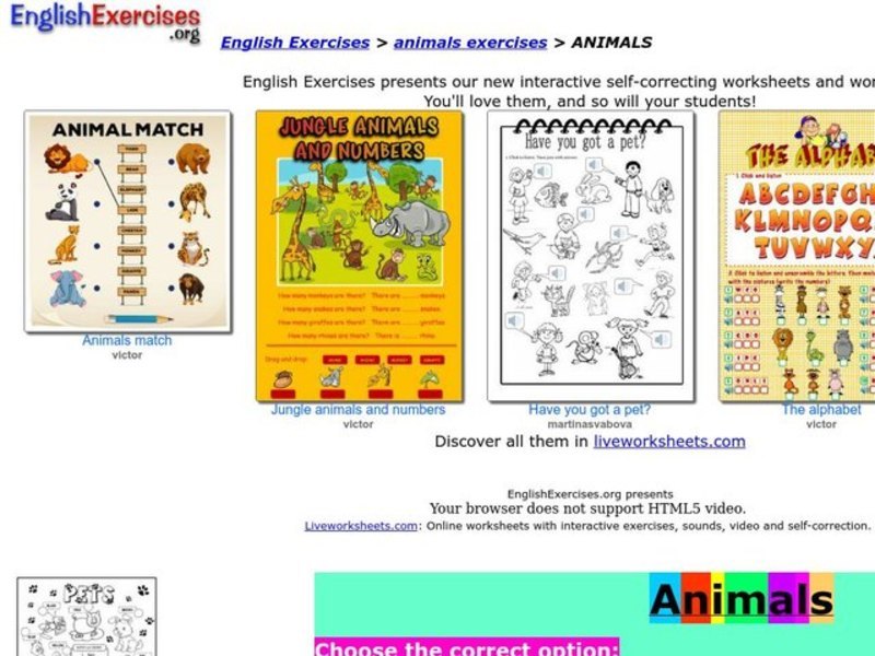 Animals Interactive