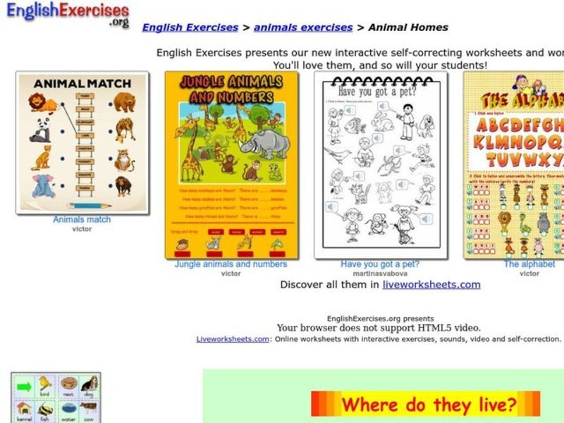 Animal Homes Interactive