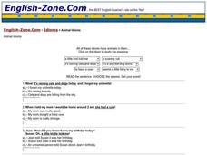 Animal Idioms Worksheet