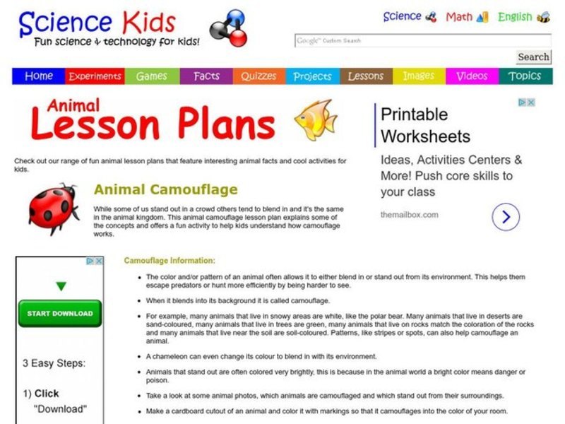 Animal Camouflage Lesson Plan