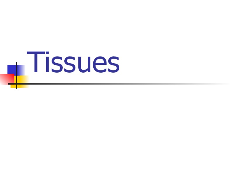 Tissues PPT