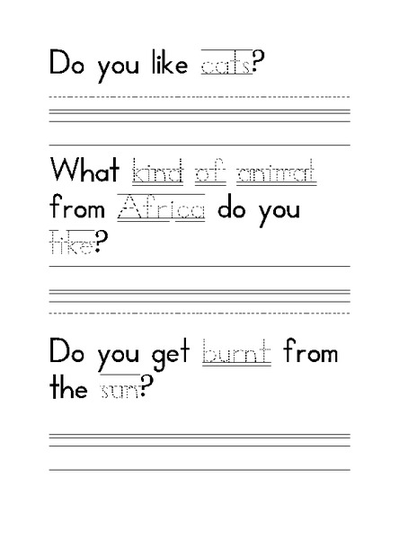Tracing and Answering Questions Worksheet