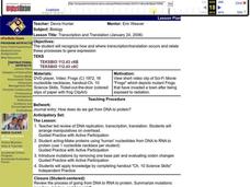 Transcription and Translation Lesson Plan