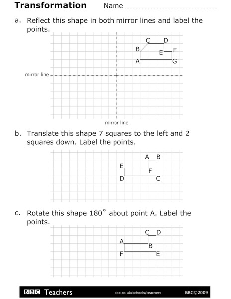 Transformation Worksheet