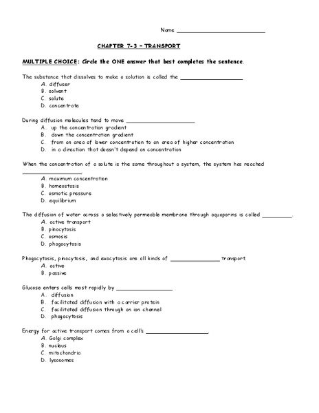 Transport Worksheet