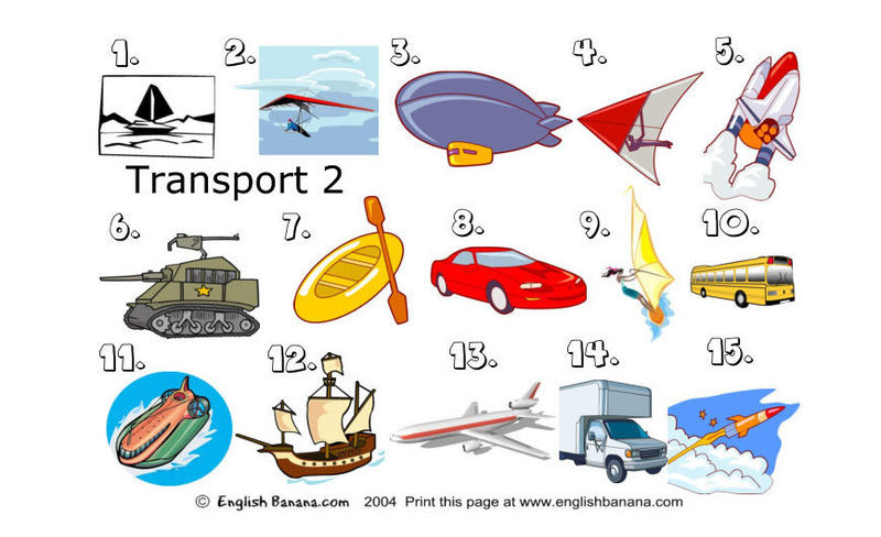 Transportation Worksheet