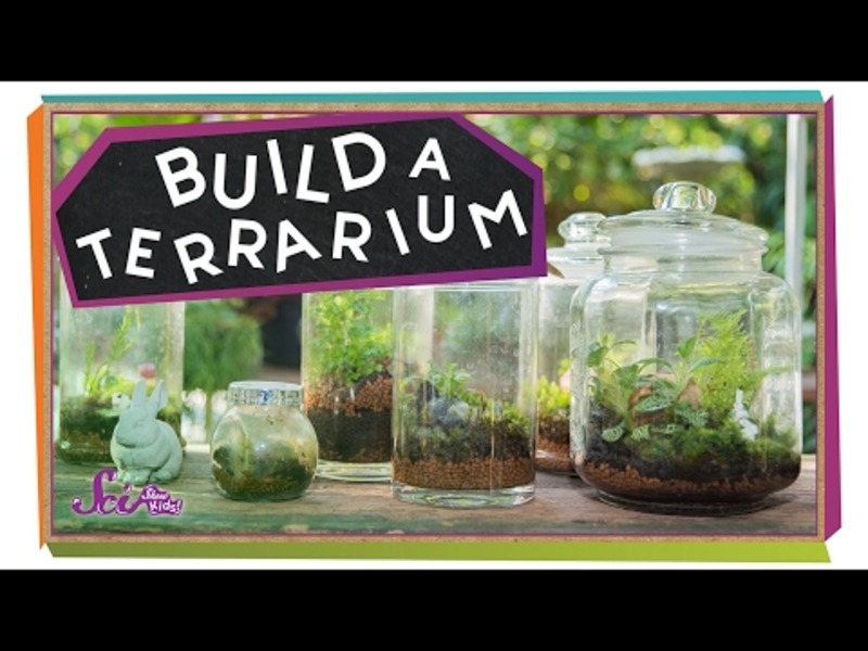 Build a Tiny Plant World! Instructional Video