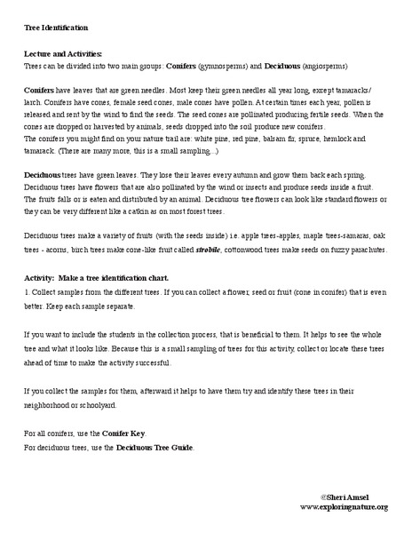 Tree Identification Worksheet