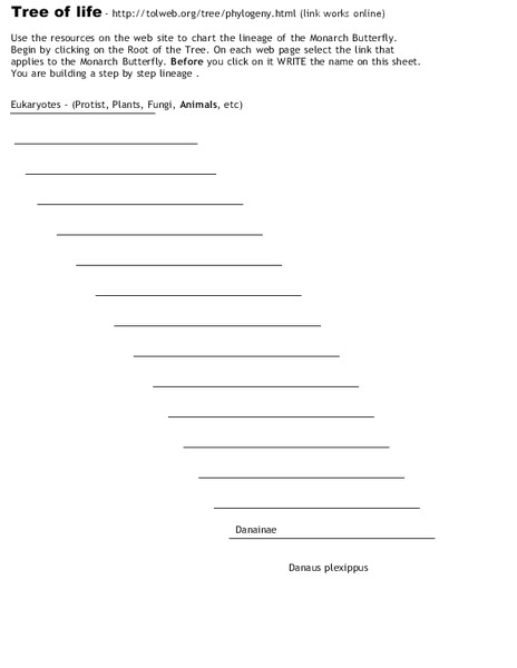 Tree of Life Worksheet