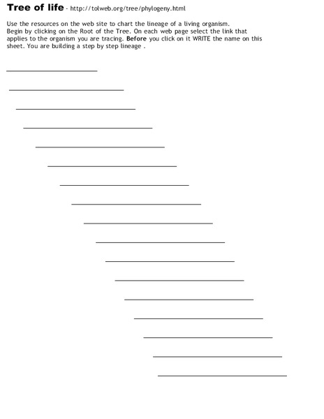 Tree of Life: lineage Worksheet
