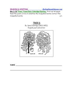 Trees Worksheet