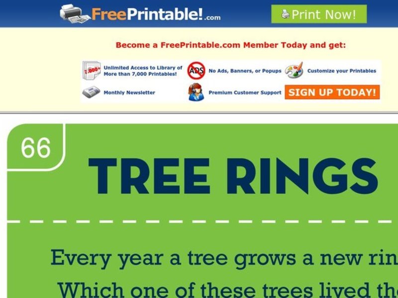 Tree Rings Worksheet