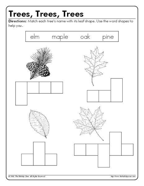 Trees, Trees, Trees Worksheet