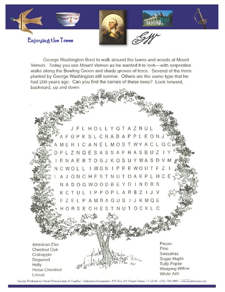 Trees word search Lesson Plan