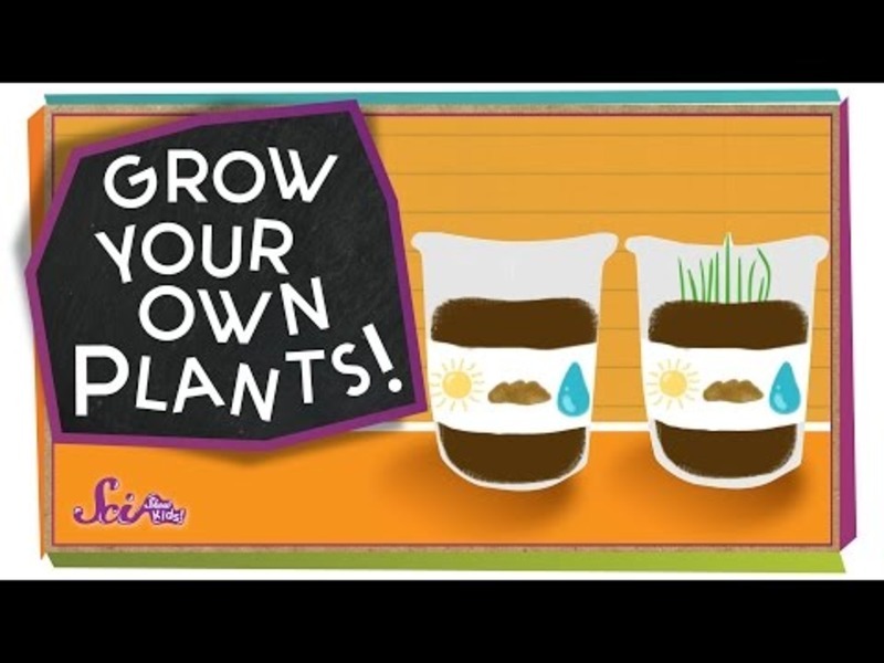 Grow Your Own Plants! - #sciencegoals Instructional Video