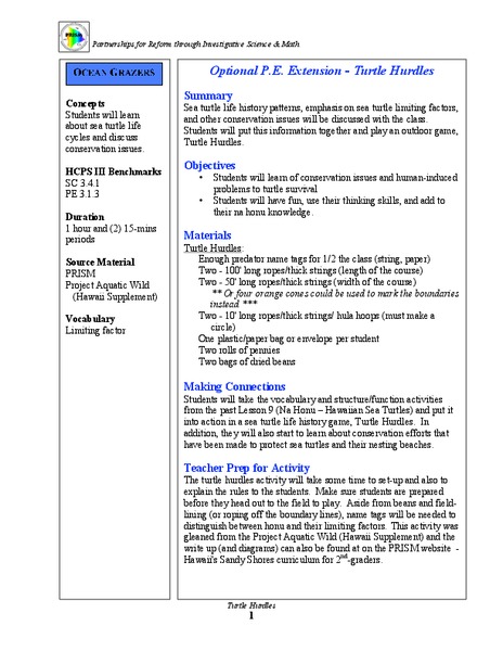 Turtle Hurdles Lesson Plan