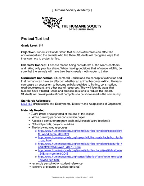 Turtle Lesson Lesson Plan