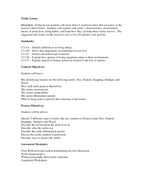 Turtle Lesson Lesson Plan