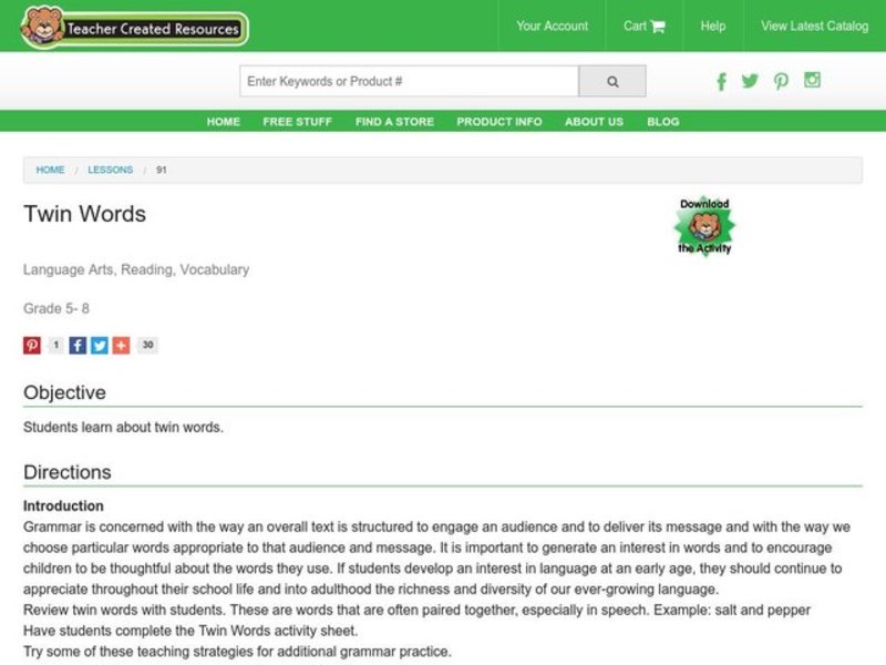 Twin Words Lesson Plan