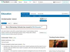 Underwater vision Lesson Plan