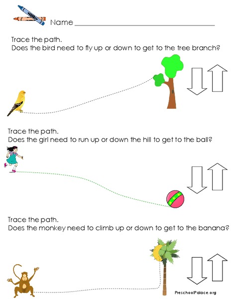 Up or Down Lesson Plan