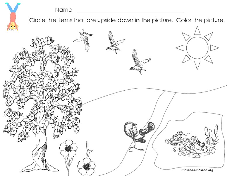 Upside Down Lesson Plan