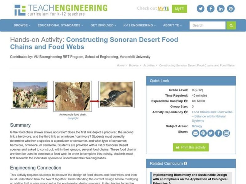 Constructing Sonoran Desert Food Chains and Food Webs Activity