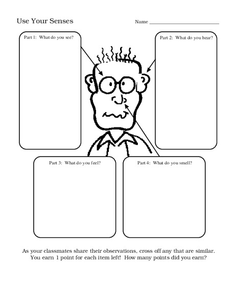 Use Your Senses Worksheet