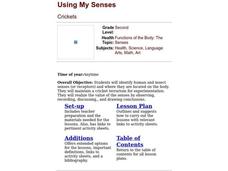 Using My Senses Lesson Plan