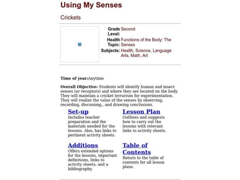 Using My Senses Lesson Plan