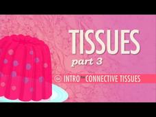 Tissues – Connective Tissues (Part 3) Instructional Video