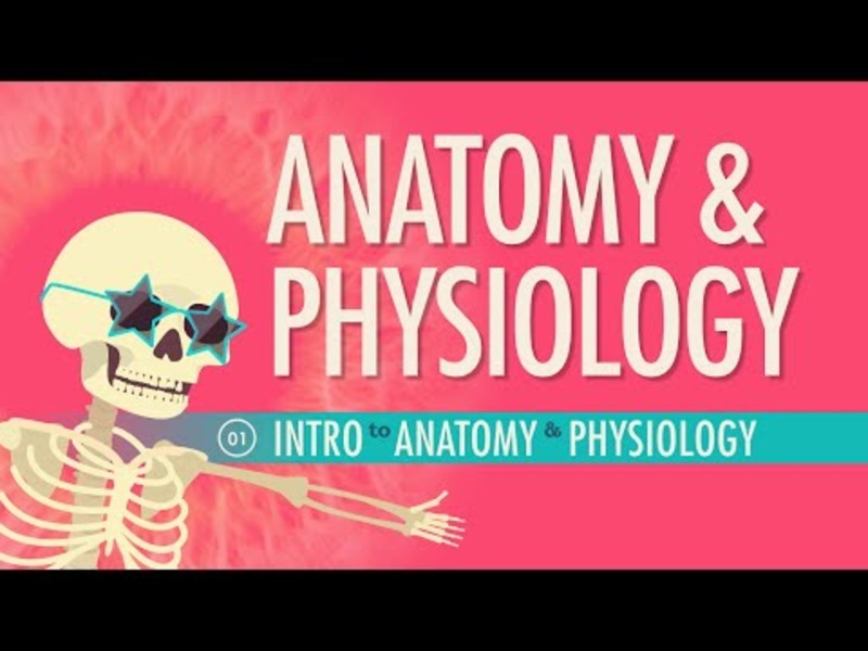 Introduction to Anatomy and Physiology Instructional Video