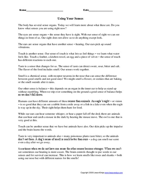 Using Your Senses Worksheet