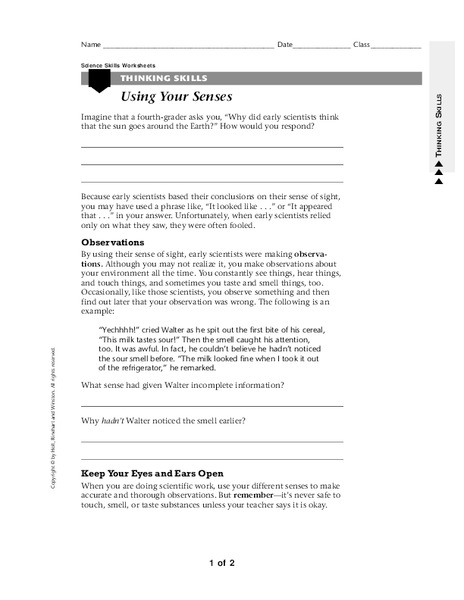 Using Your Senses Worksheet