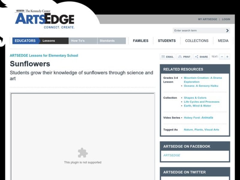 Sunflowers Lesson Plan