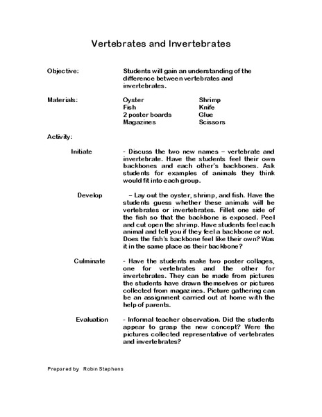 Vertebrates And Invertebrates Lesson Plan
