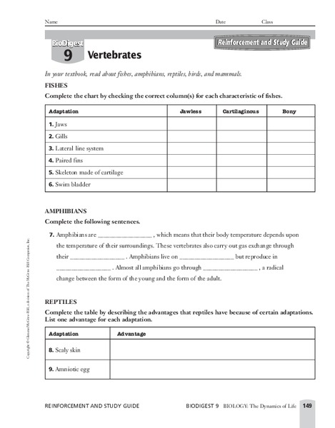 Vertebrates Worksheet