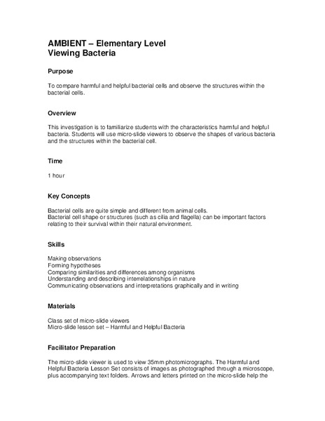 Viewing Bacteria Lesson Plan