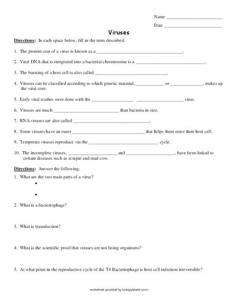 Viruses Worksheet