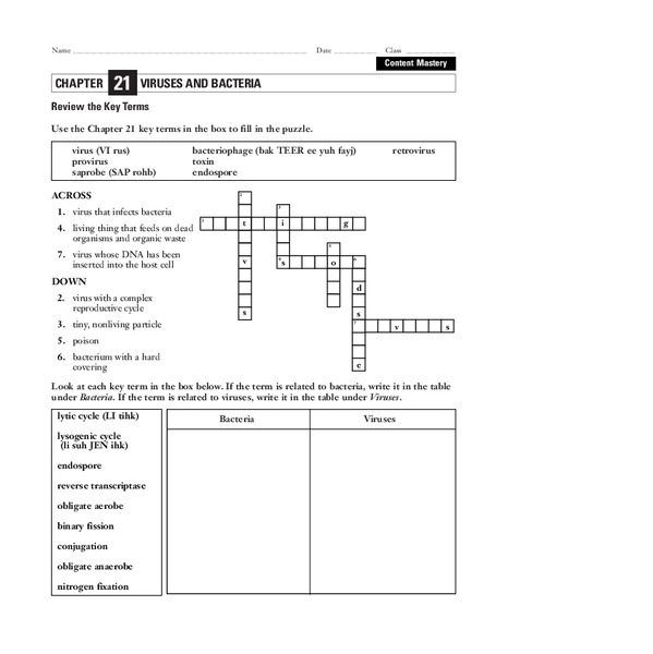 Viruses and Bacteria Worksheet