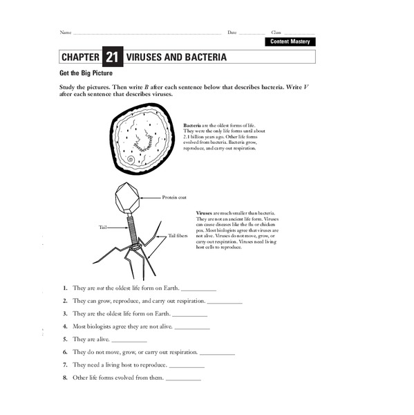 Viruses and Bacteria Worksheet