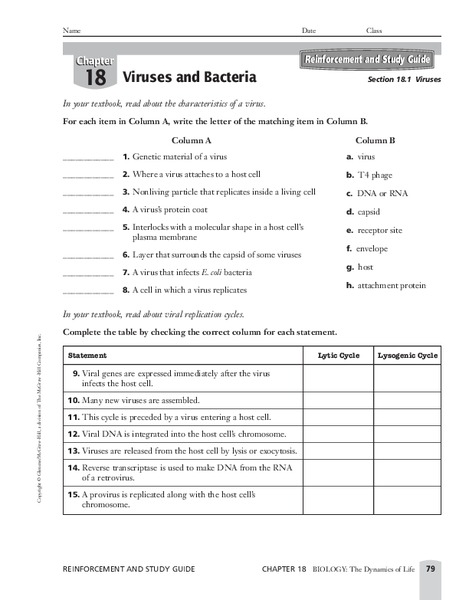 Viruses and Bacteria Worksheet
